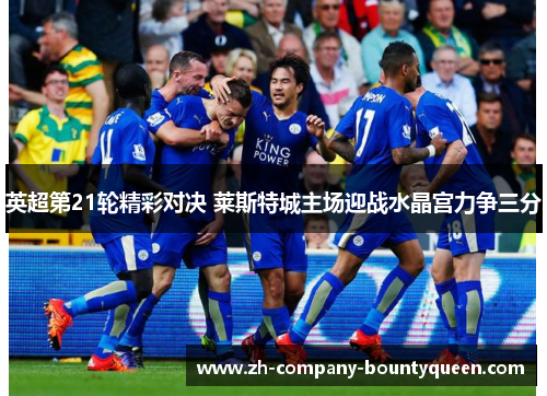 英超第21轮精彩对决 莱斯特城主场迎战水晶宫力争三分 英超第21轮精彩对决 莱斯特城主场迎战水晶宫力争三分