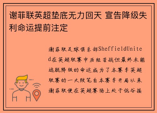 谢菲联英超垫底无力回天 宣告降级失利命运提前注定